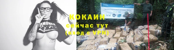 ГАЛЛЮЦИНОГЕННЫЕ ГРИБЫ Няндома