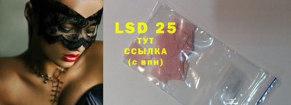 ГАЛЛЮЦИНОГЕННЫЕ ГРИБЫ Няндома