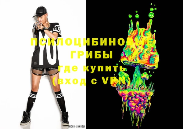 ГАЛЛЮЦИНОГЕННЫЕ ГРИБЫ Няндома